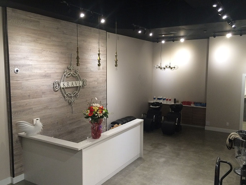 hair salon interior commercial painting
