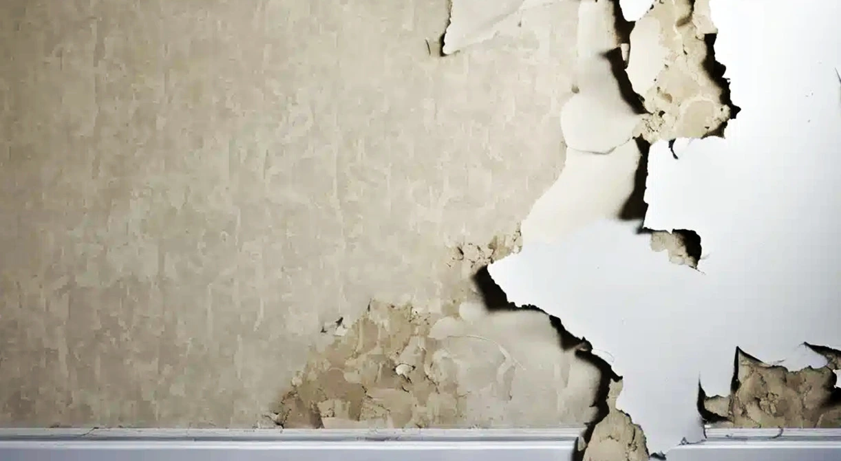 painting and services, residential home painting, color wheel paint, home paint service, home paint services, home painting service, home painting services, adhesive wallpaper, remove wallpaper, step to remove wallpaper
